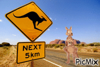 voyage en AUSTRALIE - GIF animé gratuit