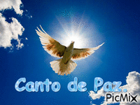Canto de Paz - Animovaný GIF zadarmo