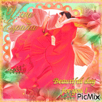 ~Flamenco~