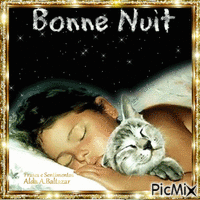 Bonne nuit - Δωρεάν κινούμενο GIF
