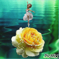 Rose animovaný GIF