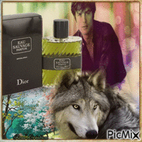 Concours : Parfum pour homme avec des loups - Free animated GIF