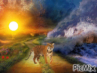 Un tigre passe - Бесплатный анимированный гифка
