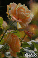 flower for you animuotas GIF