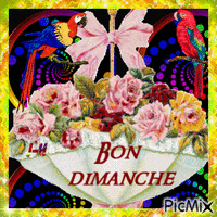 Bon DIMANCHE