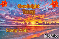 Goodnight Tracy 2 - GIF animate gratis