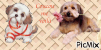 dogs Animiertes GIF