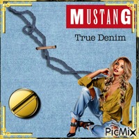 Jeans  Mustang