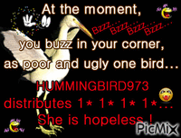 PRESENT FOR HUMMINGBIRD973