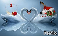 loving swans - Ücretsiz animasyonlu GIF