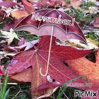 November.!   eikones.top animeret GIF