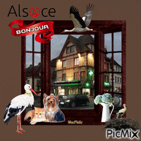 souvenir d'Alsace, bonjour