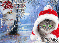 CAT AND OWL WINTER Animiertes GIF