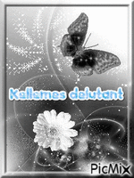 Pillango - GIF animé gratuit