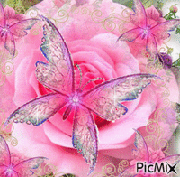PINK LARGE ROSE IN FRONT OF SNALL PINK ROSES4 SMALL AND ONE LARGE PINK AND PURPLE BUTTERFLY, SPARKLES IN THE CENTERS AND ON THE WINGS OF THE BUTTERFLIES. - Nemokamas animacinis gif