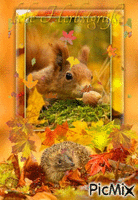 herbst анимирани ГИФ