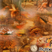 Autumn is here 动画 GIF