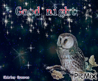 Good night animasyonlu GIF