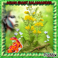 ASIAN GIANT SALAMANDER animovaný GIF