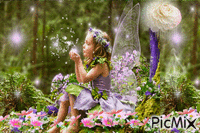 fairy - Gratis geanimeerde GIF