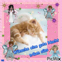 Wünsche eine gute Nacht - Zdarma animovaný GIF
