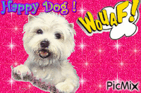 Happy dog ! - Δωρεάν κινούμενο GIF
