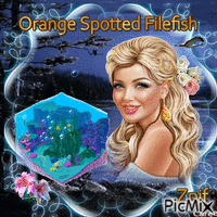 Orange Spotted Filefish - GIF เคลื่อนไหวฟรี
