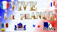 vivie  la france !!! animovaný GIF