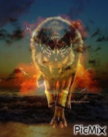 wolf sunset - Бесплатни анимирани ГИФ