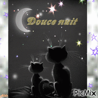 nuit chat animuotas GIF