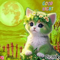 Good Night-Cat - GIF animate gratis