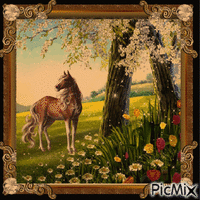 Beautiful Horse Frame - GIF animado gratis