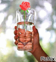 jiva woda - Darmowy animowany GIF