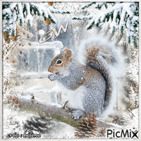 Écureuil en hiver GIF animé