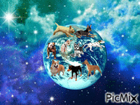 Dogterre,la terre des chiens ;) - Animovaný GIF zadarmo