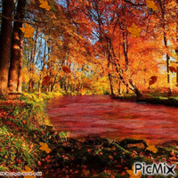Autumn Days - Δωρεάν κινούμενο GIF