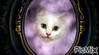 pensée de chat - Zdarma animovaný GIF