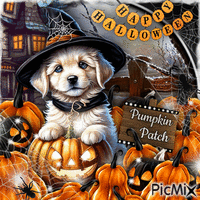 Halloween Dog-RM-10-26-23 - Бесплатни анимирани ГИФ