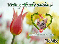 Víkend - tulipán - Ingyenes animált GIF