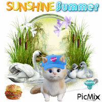 Sunshine Summer animowany gif