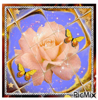Pink rose and birthaflies. animovaný GIF
