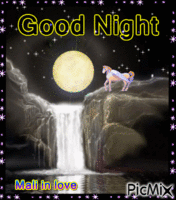 GOOD NIGHT FRIENDS - Nemokamas animacinis gif