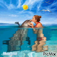 adorable dauphin - 無料のアニメーション GIF