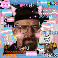 walter white says trans rights - Free animated GIF