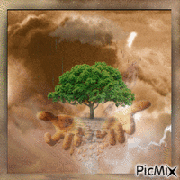 Tree of Life GIF animé