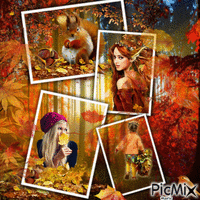 cadre photo d'automne - GIF animate gratis