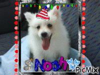 Noah - 免费动画 GIF