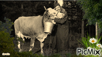 La vache et le prisonnier - Animovaný GIF zadarmo