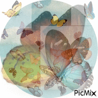 Collage de papillons animoitu GIF