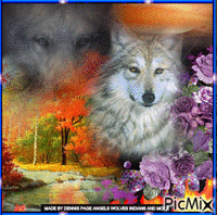 SELF MADE WOLF PICTURE - Ingyenes animált GIF